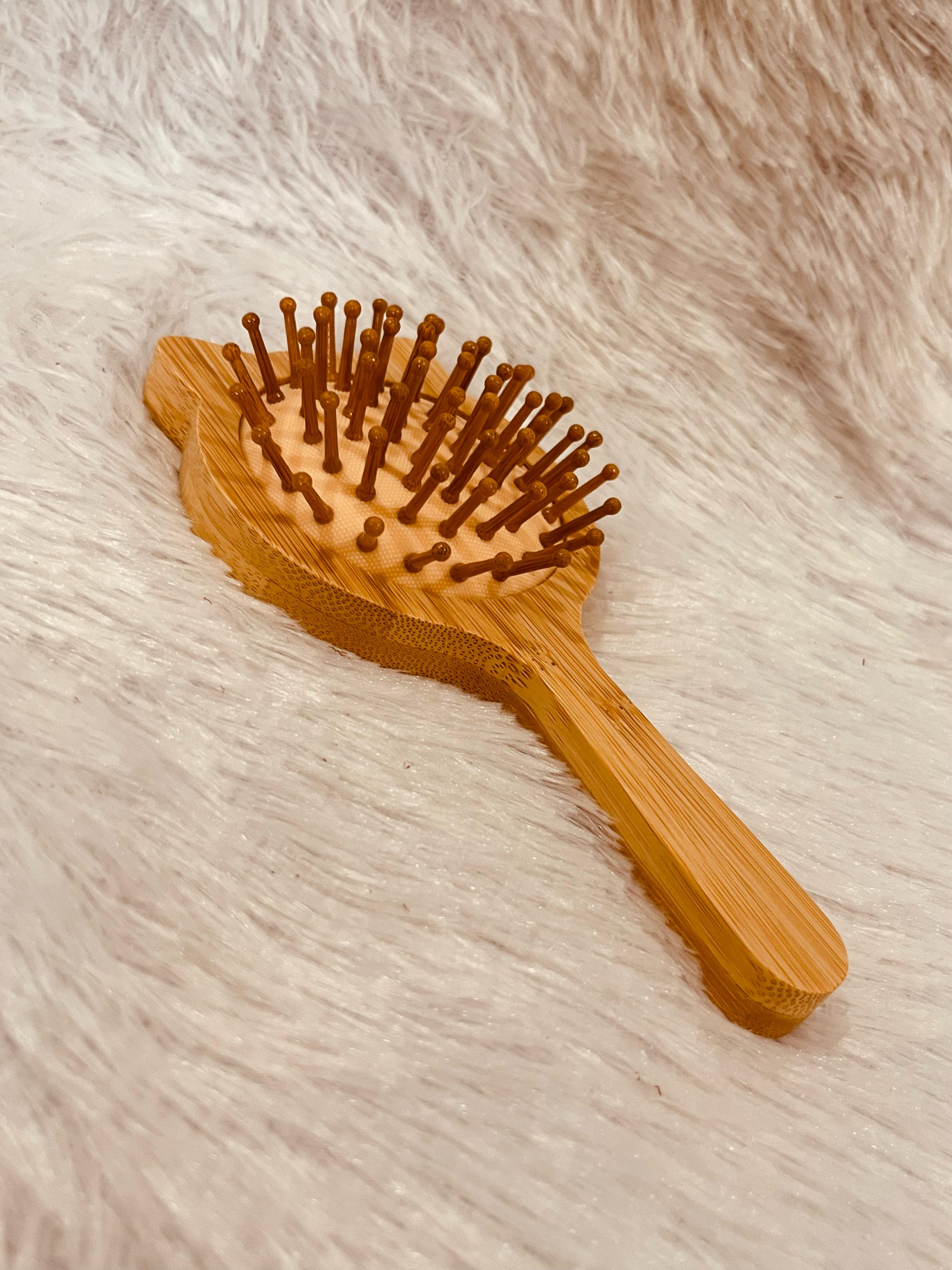 Kitty Paddle Brush - Pack of 1 Kitty Paddle Brush - Pack of 1